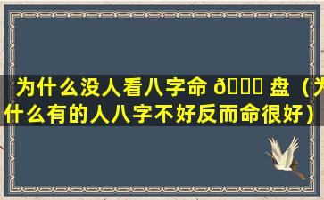 为什么没人看八字命 🐘 盘（为什么有的人八字不好反而命很好）